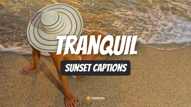 Tranquil Sunset Captions for Instagram - Famium
